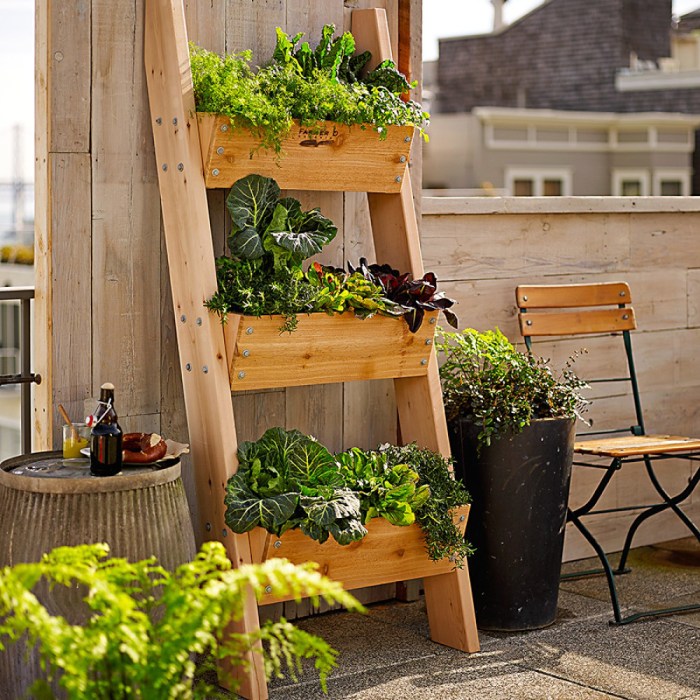 Vertical vertikal tukang banjarmasin gambar habitat horticulture westfield century roofs