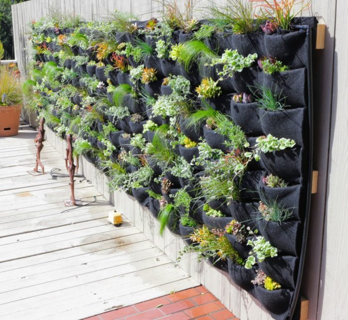 Living wall diy vertical garden