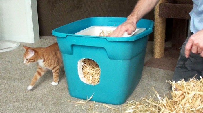 Feral cat house diy